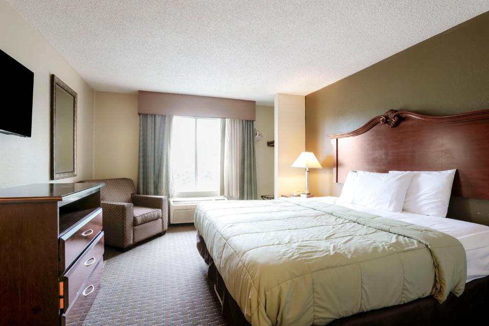 Suite - King Bed interior